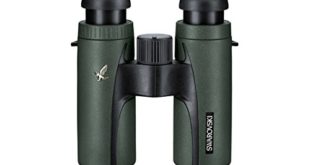 Swarovski Fernglas CL Companion 10 x 30 auf weissem Hintergrund