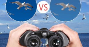 Bfull Fernglas vor Meeresblick